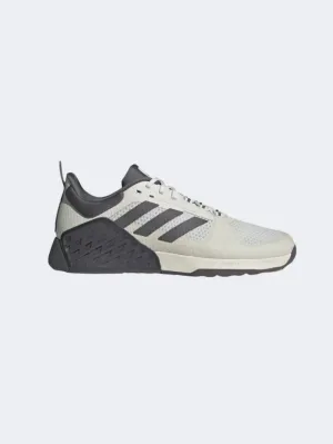 Adidas Dropset 2 Men Training Shoes Orbit Grey